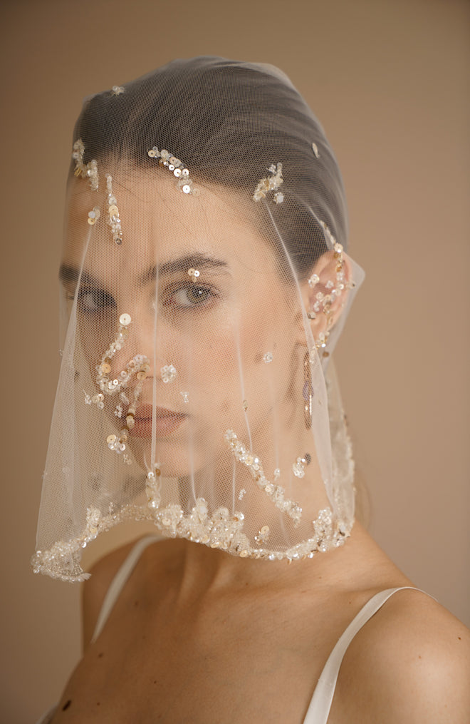 RAYS VEIL