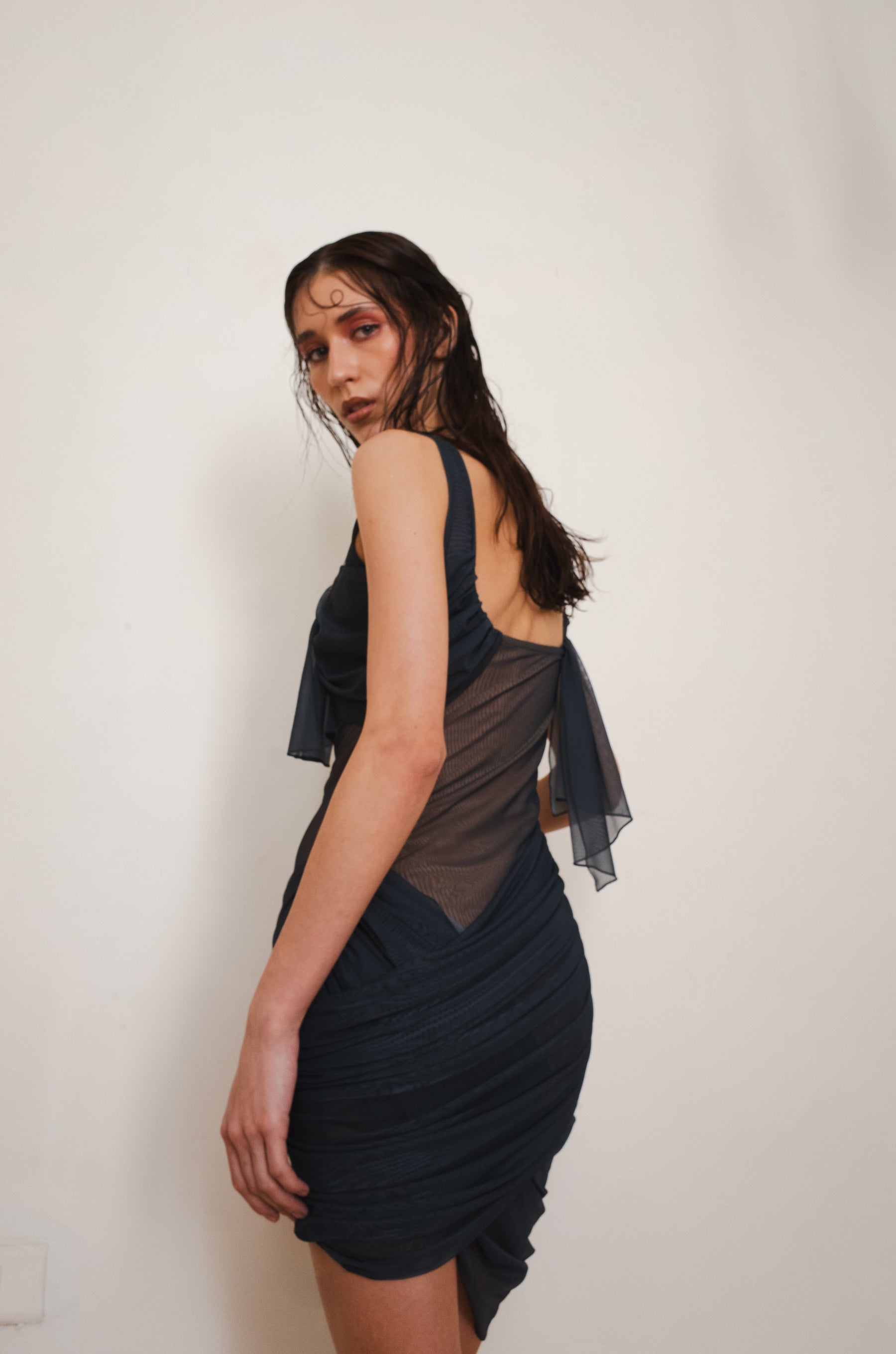 GLIMPSE DRESS