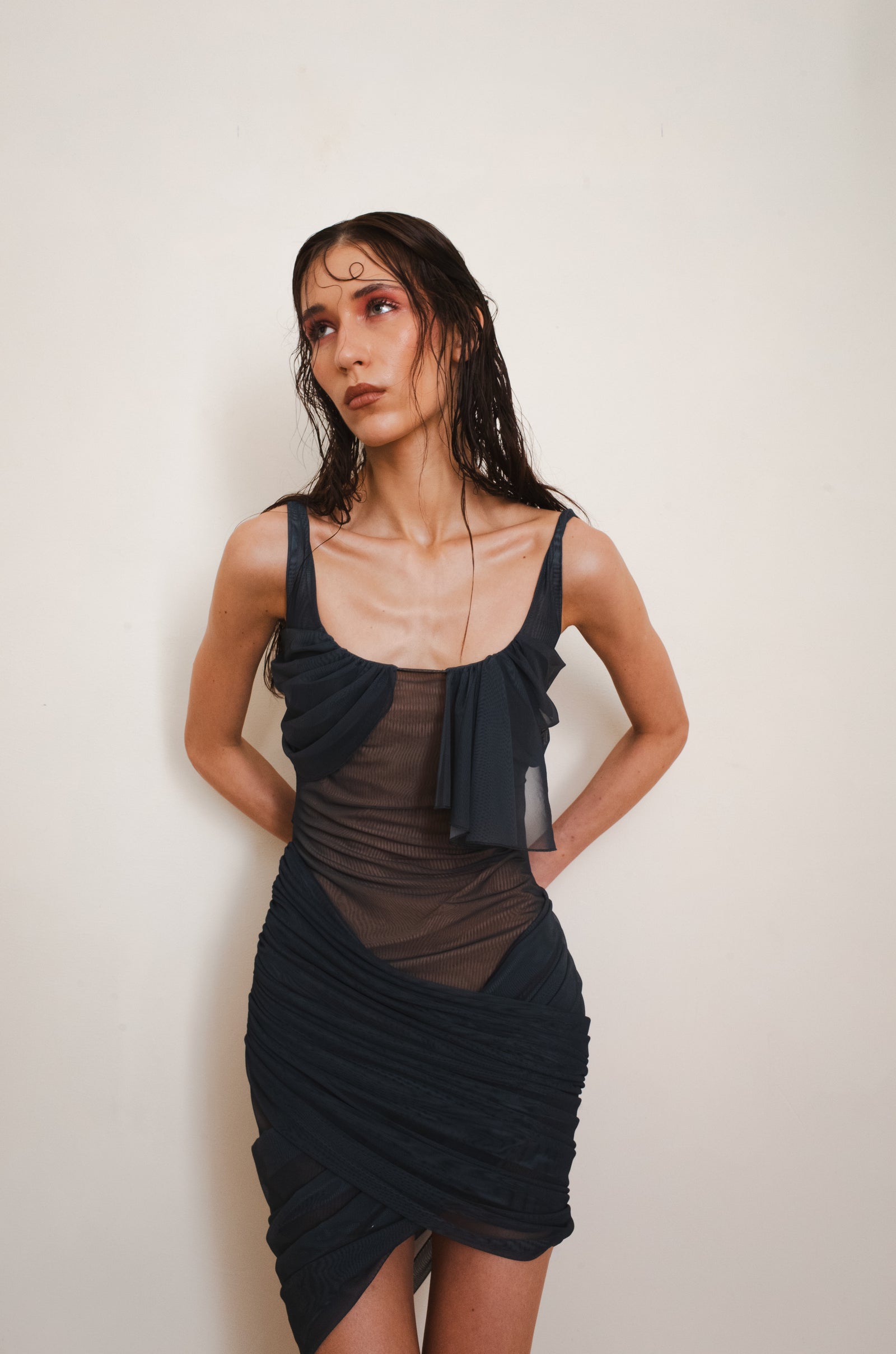 GLIMPSE DRESS
