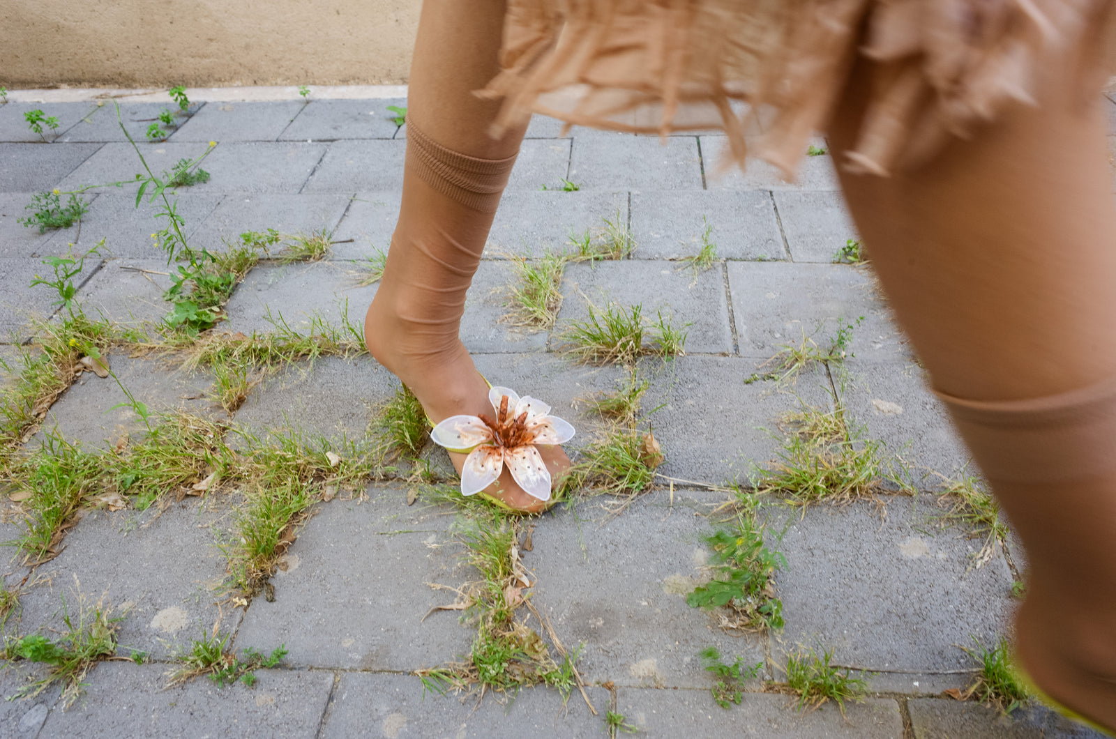 PETALS UNDER THE SUN HEELS